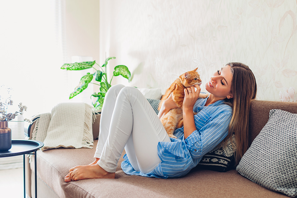 veterinarian holding kitten