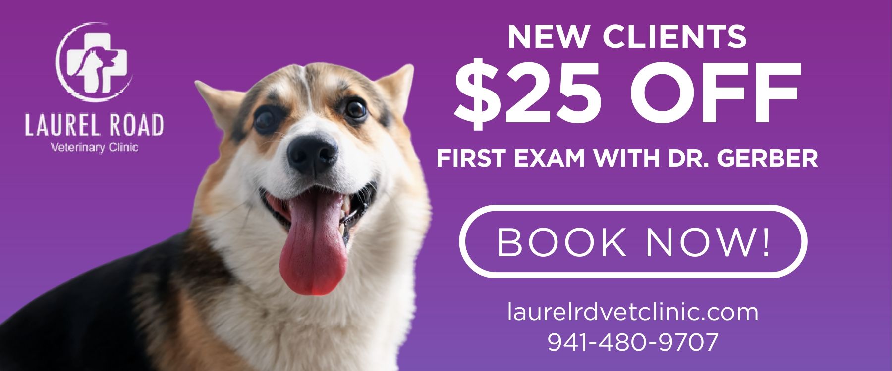 corgi happy veterinarian clinic